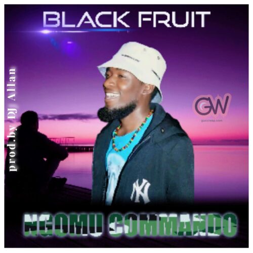 Black fruit – Ngomu commando (prod.by Dj Allan)